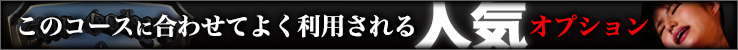 このコースに合わせてよく利用される人気オプション