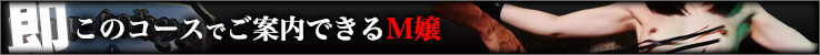 即のこのコースでご案内できるM嬢