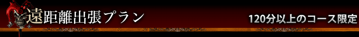 遠距離出張プラン