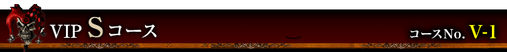 VIP Sコース