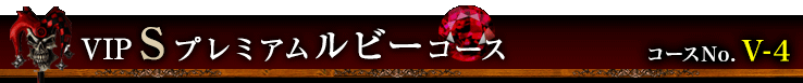 VIP Sプレミアム ルビーコース