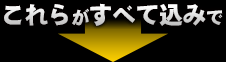 これらがすべて込みで